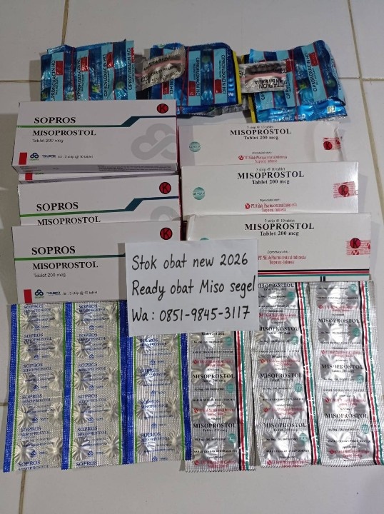 WA 0851-9845-3117  Jual Obat Aborsi Di Teluk Bintuni